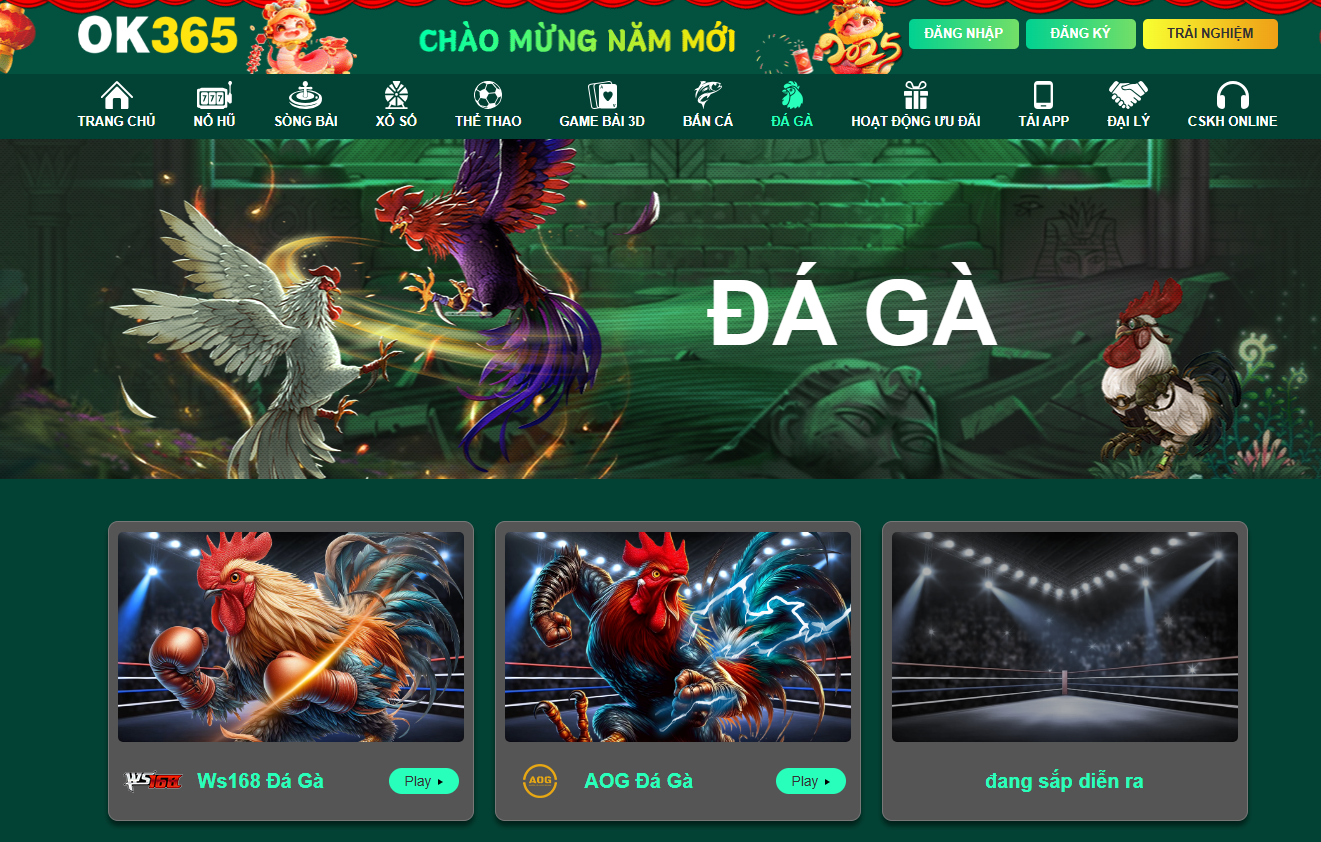 Tổng quan sảnh đá gà OK365 kịch tính